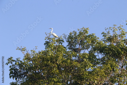 Catemaco  Veracruz