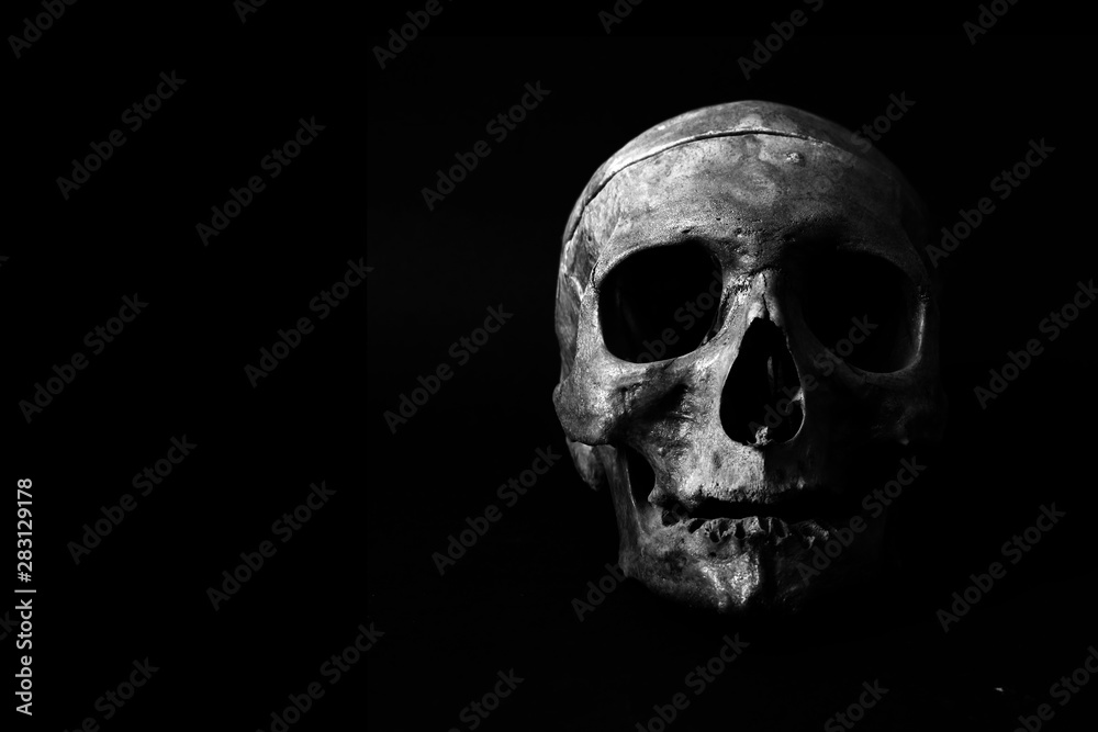skull on black skull on black