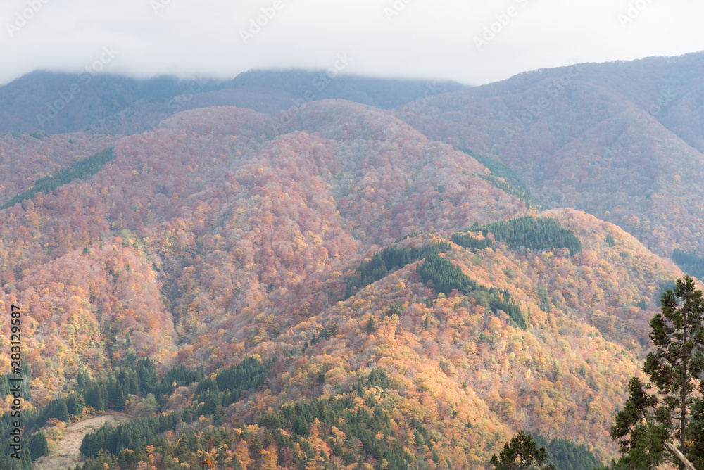 Mountain view of Shirakawago in Japan