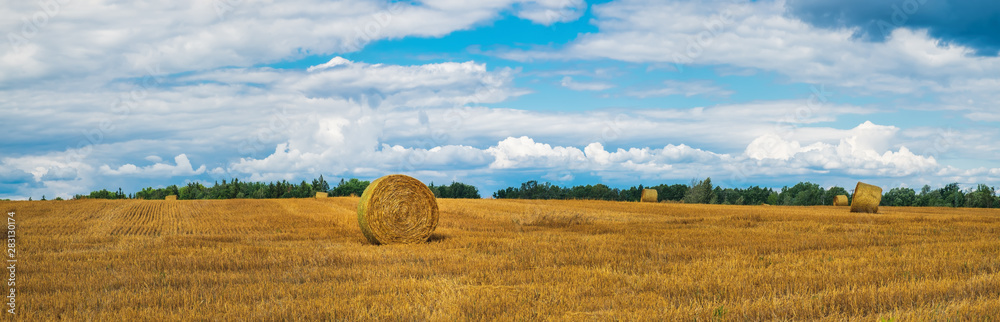 A typical natural landscape: yellow fields and dry haystacks. Panoramic view. Daytime countryside landscape under cloudy sky in Bohemia, Czech Republic, Europe A typical natural landscape: yellow fields and dry haystacks. Panoramic view. Daytime countryside landscape under cloudy sky in Bohemia, Czech Republic, Europe