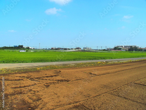 耕作された夏の畑と青田風景