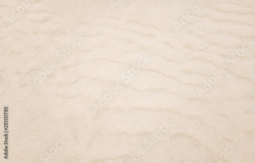 Sand beach texture background. Nature concept. Close up