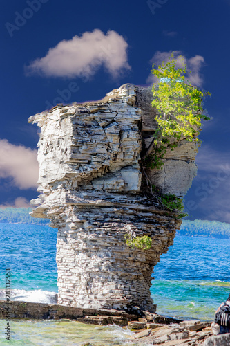 Vegetation manages to survive on the Flower pot rock formation on Lake Huron