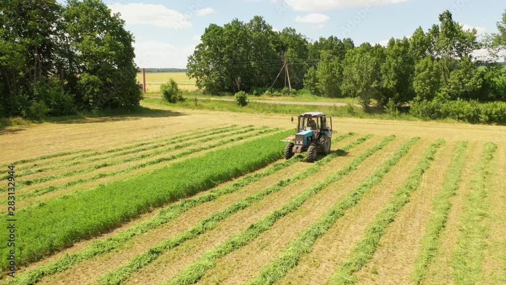 Tractor cuts green grass in the countryside. Agricultural process in the grass land near green trees. Tractor machine for cutting grass for livestock on the field in summer day. Tractor cuts green grass in the countryside. Agricultural process in the grass land near green trees. Tractor machine for cutting grass for livestock on the field in summer day.