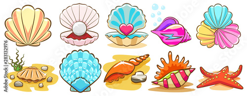 seashell vector set graphic clipart design
