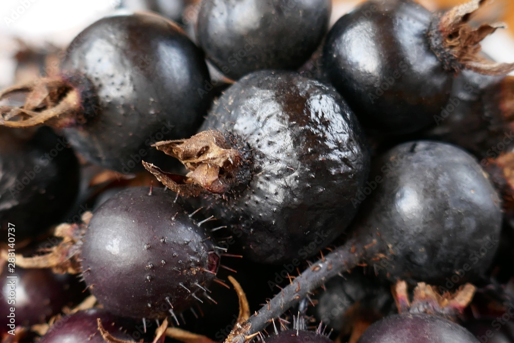 Black rosehip berries close-up background. Useful medicinal plant. Vitamin C. Black rosehip berries close-up background. Useful medicinal plant. Vitamin C.