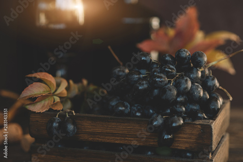 Red wine and grapes background. Wine and grapes in vintage setting with corks on wooden table. Toned image. Selective focus.