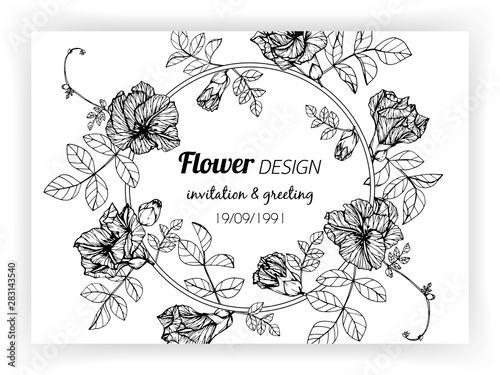 Butterfly pea flower frame drawing illustration for invitation and greeting card design.