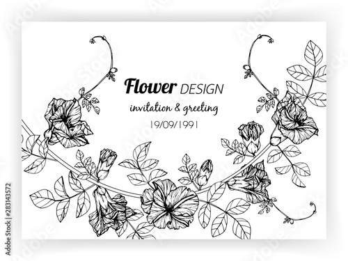 Butterfly pea flower frame drawing illustration for invitation and greeting card design.