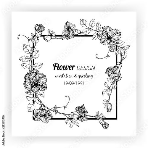 Butterfly pea flower frame drawing illustration for invitation and greeting card design.