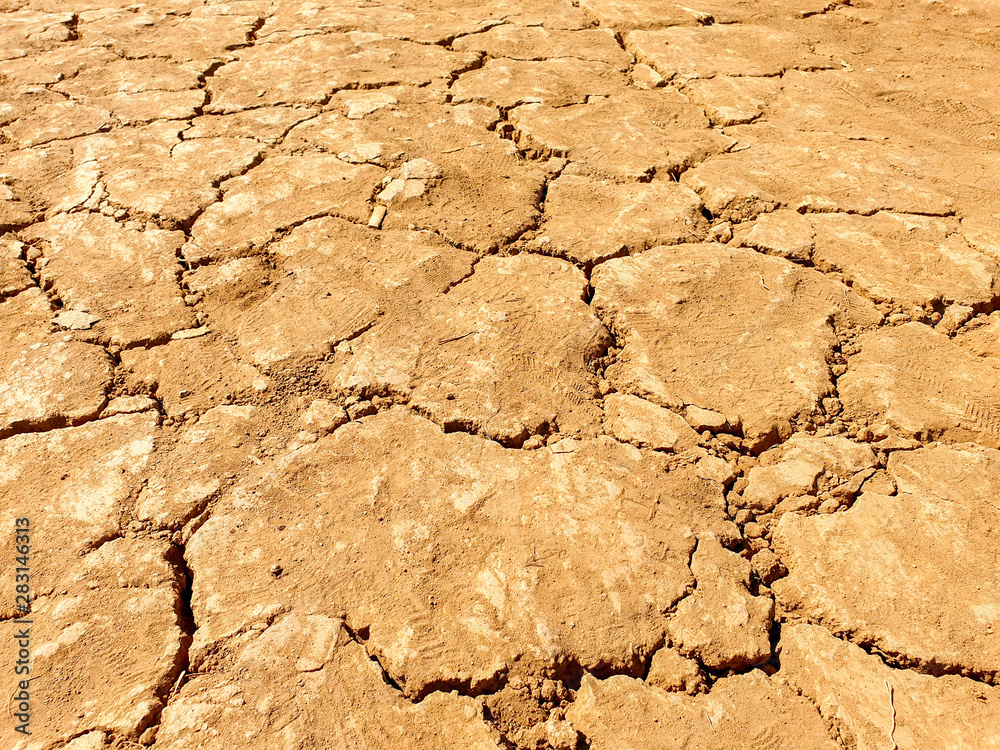 Fototapeta premium Closeup dry ground and cracked soil texture background.