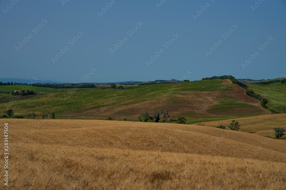 Beautiful and miraculous colors of green and golden autumn landscape of Tuscany, Italy. Golden wheat fields, green meadows and hills. Harvest season. Holiday, traveling concept.