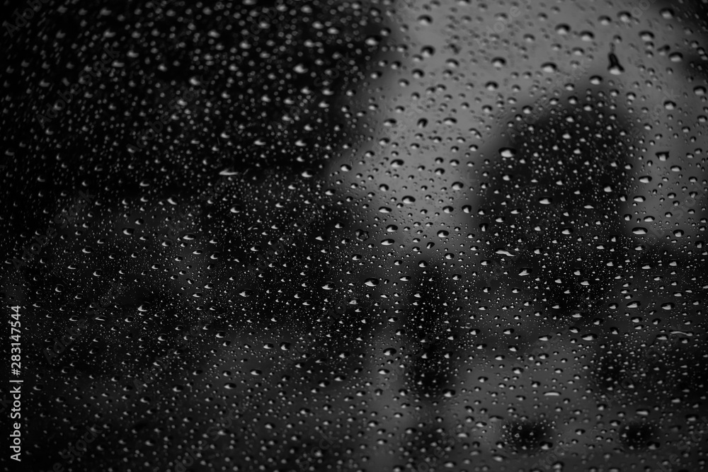 Obraz premium Rain water droplets on a windscreen