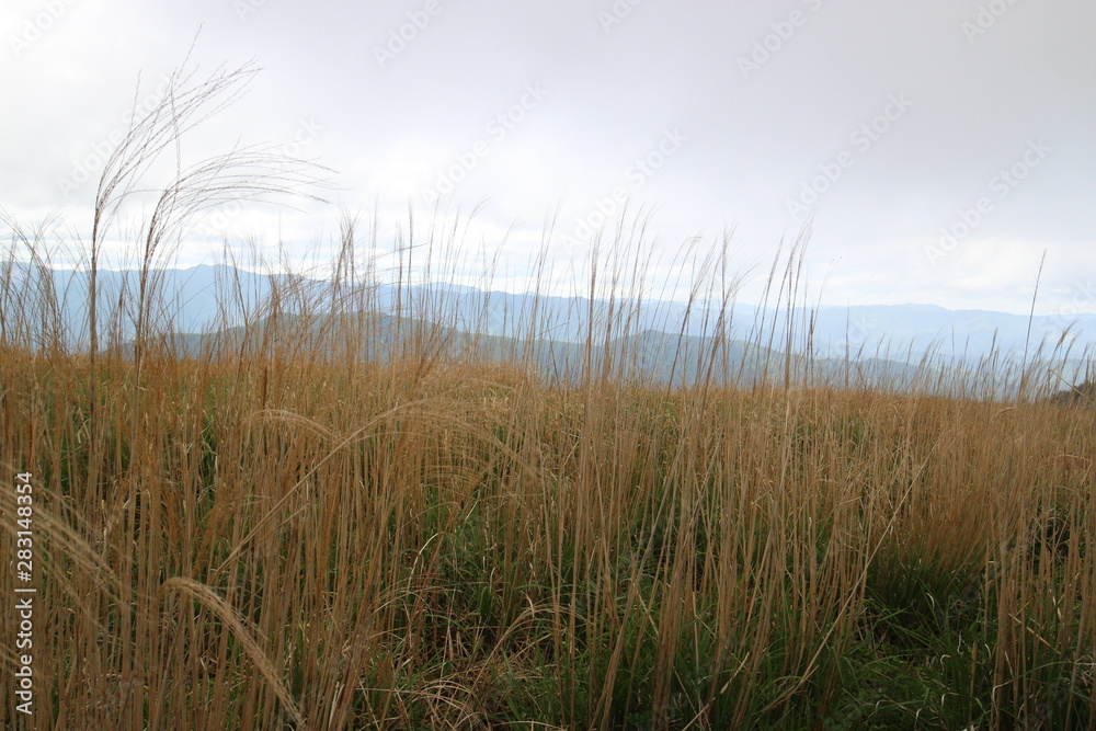 和歌山 生石高原 和歌山 生石高原