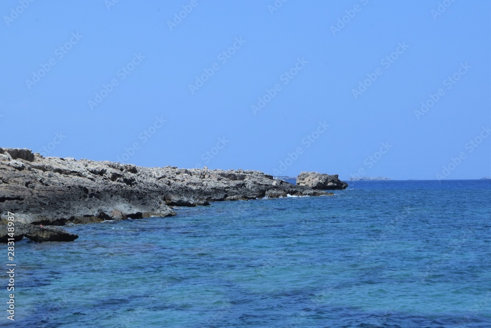 Summer Cyprus Wild Sea Side