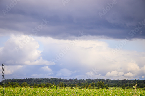 Summer field landscape. Russian open spaces. Before the storm. Dark rainy sky. Background Russian field before the rain.