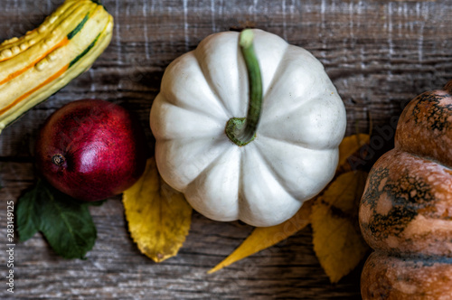 Organic food. Autumn pumpkin on a dark rustic wooden table. Healthy vegetarian food.