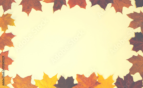 Frame made of autumn dried leaves on pastel background. Flat lay, top view, copy space.