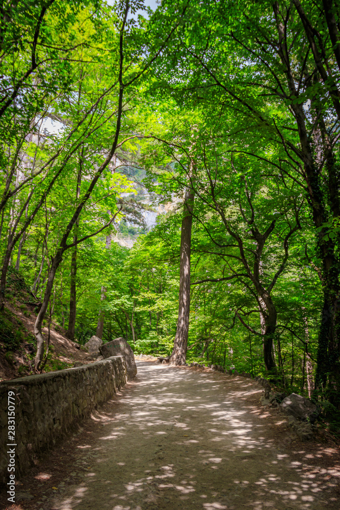 Mountain asphalt road. Mount Ai-Petri in Crimea. Climb up. Russian roads. . Road to Ai-Petri Mountain asphalt road. Mount Ai-Petri in Crimea. Climb up. Russian roads. . Road to Ai-Petri