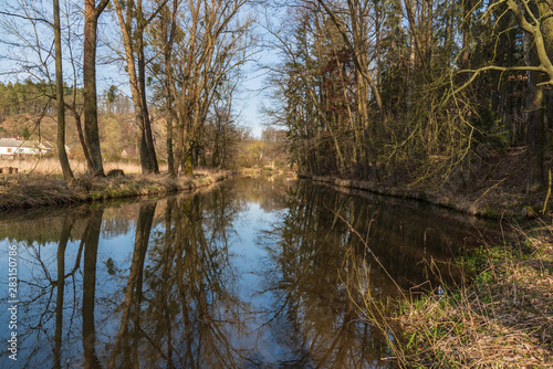 Trebuvka river with trees reflected on water ground near Lostice town in Czech republic