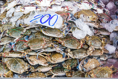 Crabs for sale photo