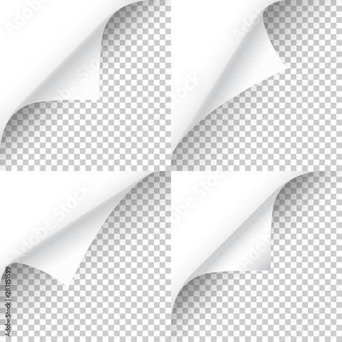 Curled page corner with shadow on transparent background collection. Blank sheet of paper. Vector illustration.