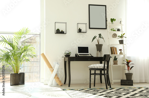 Trendy room interior with different home plants and laptop on table. Space for text