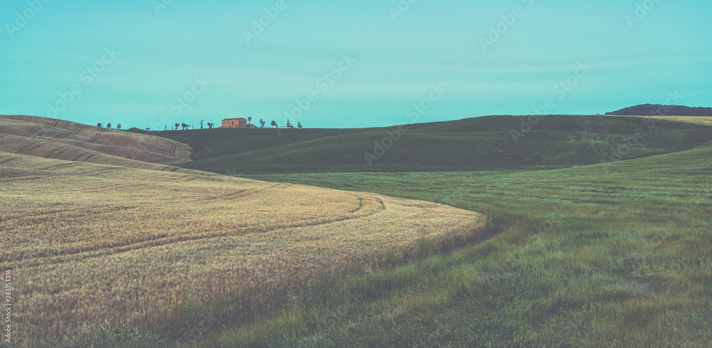 Beautiful and miraculous colors of green and golden autumn landscape of Tuscany, Italy. Harvest season. Holiday, traveling concept. Vintage tone filter effect with noise and grain.
