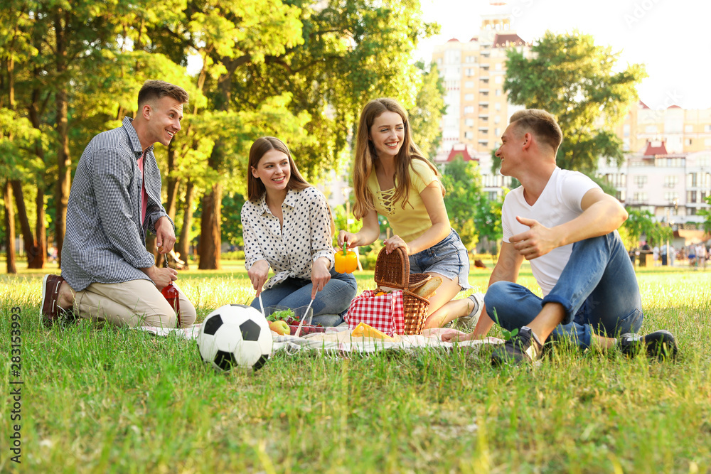 Young people enjoying picnic in park on summer day Young people enjoying picnic in park on summer day
