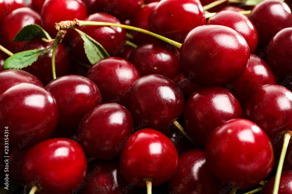 Delicious ripe sweet cherries as background, closeup view Delicious ripe sweet cherries as background, closeup view