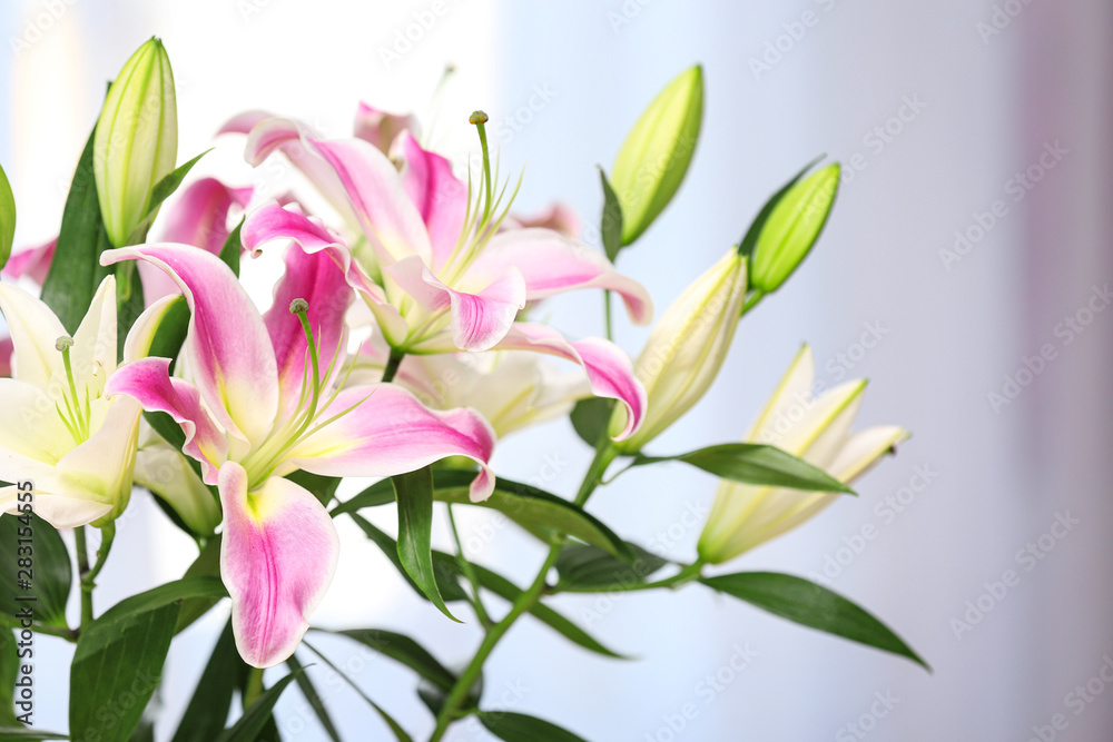 Bouquet of beautiful lilies on blurred background, closeup. Space for text