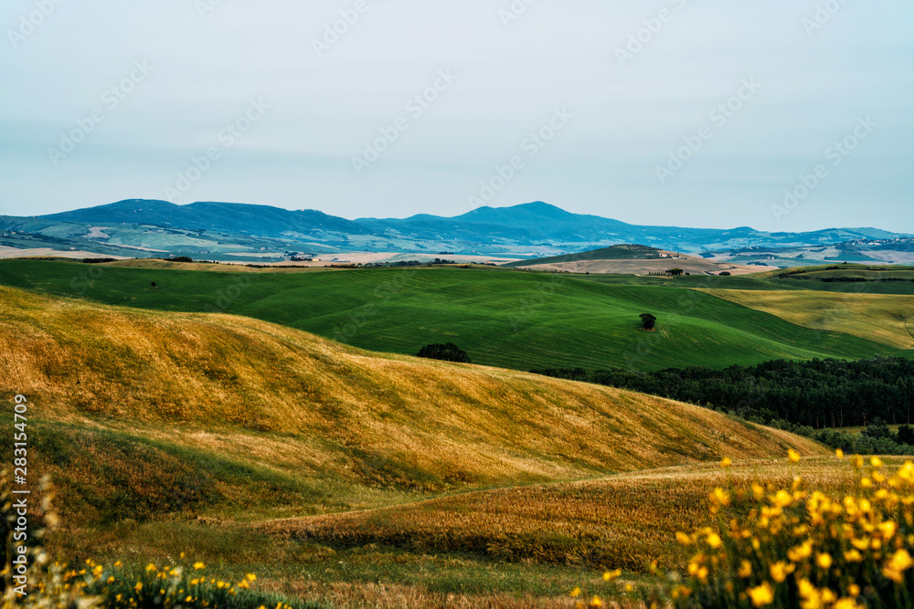 Obraz premium Tuscany, rural sunset landscape. Countryside farm, cypresses trees, fields, sun light and cloud. Italy. Agro tour of Europe. Holiday outdoor vacation trip.