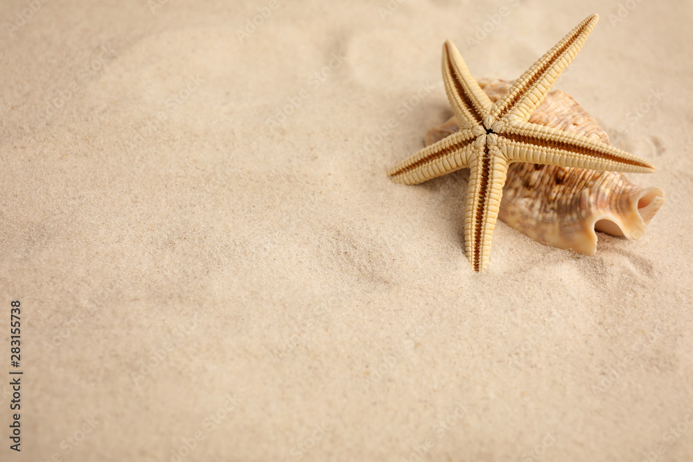 Beautiful starfish and sea shells on sand, space for text Beautiful starfish and sea shells on sand, space for text