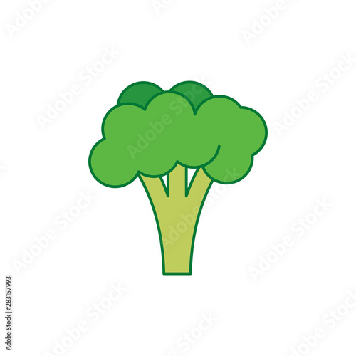 Vector illustration of flat colorful broccoli. Vector vegetable.