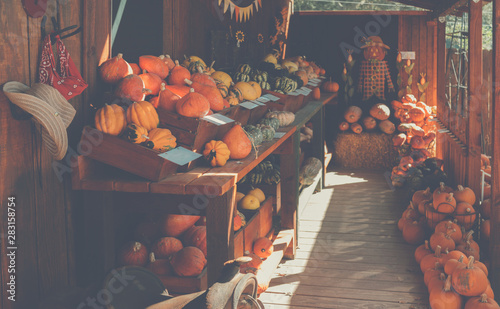 Pumpkin vegetable, grocery market.