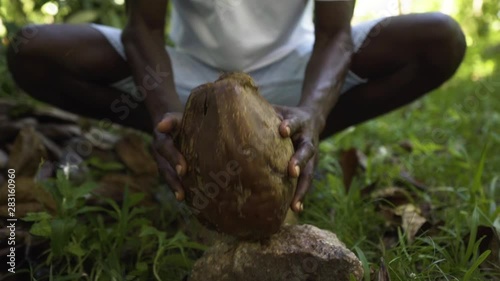 Close up of man breaking coconut husk on rock in Seychelles photo