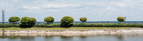 panoramic shot of green leaves on trees near lake against sky with clouds in summer