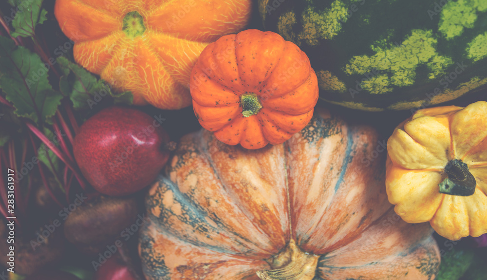 Autumn background with pumpkins, vegetables and fruit. Fall harvest. Mockup for seasonal offers. Top view.