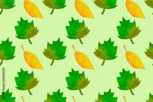 Autumn seamless pattern with colorful leaves. Fall backdrop of yellow  red and green foliage on green background. Hand drawn watercolor illustration. Fabric and textile print template