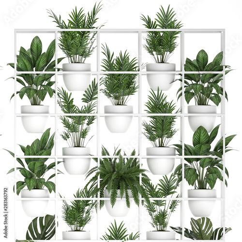 collection exotic plants, vertical garden