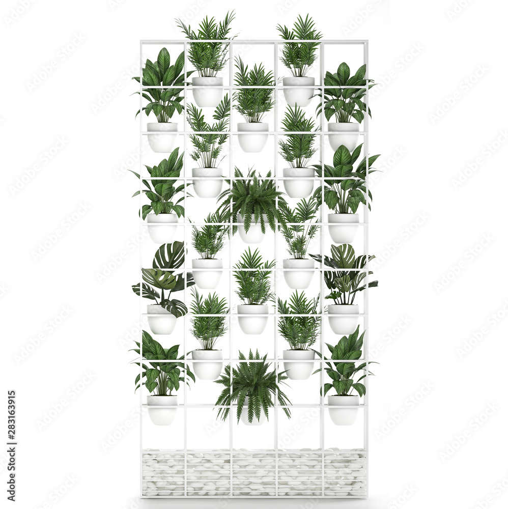 collection exotic plants, vertical garden