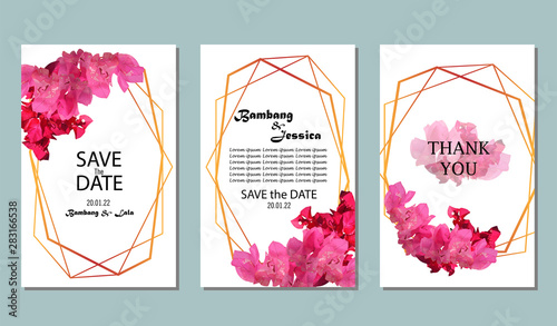 flower designs for wedding invitations and party invitations, flower elements, pink and red