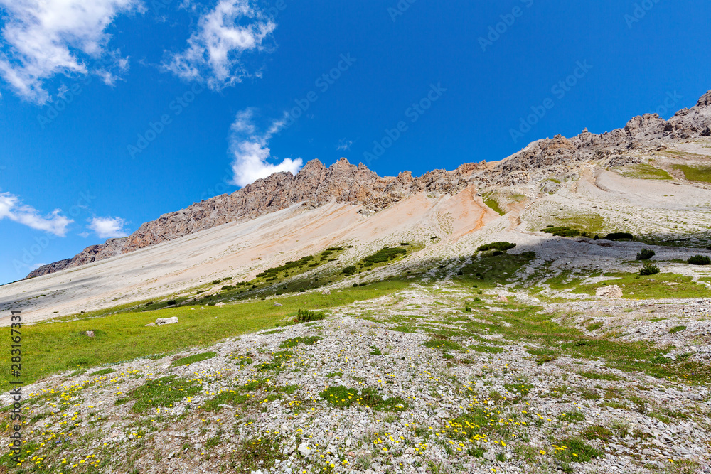 Val Alpisella - Bormio (IT) - vista panoramica della valle