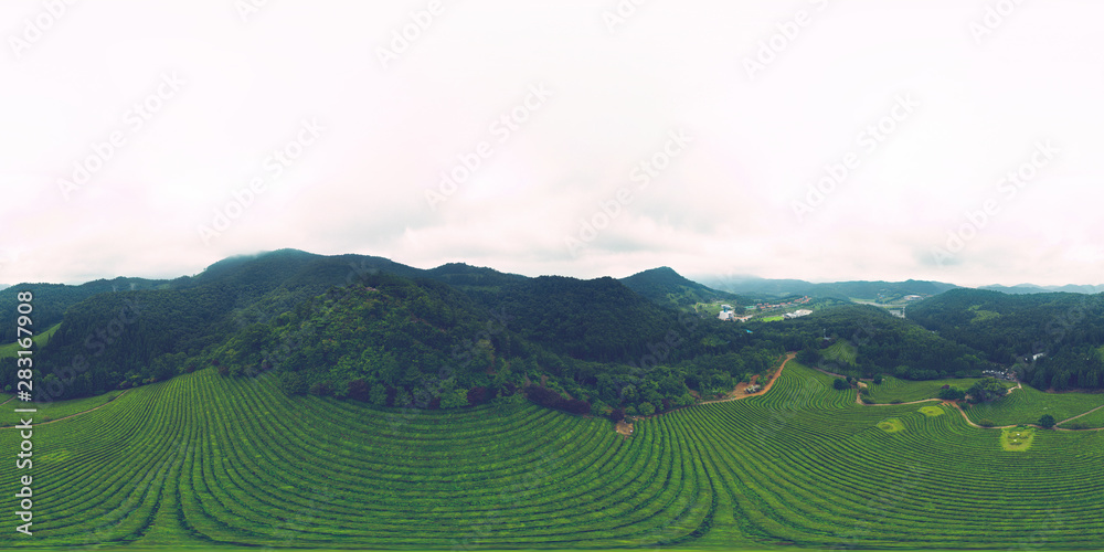 Boseong, South Korea 18 July 2019 Daehandawon. After heavy rain 360 degree spherical aerial panorama view of Daehandawon where is famous green tea farm and bamboo forest.