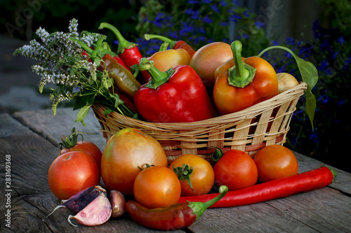 Wicker basket with sweet pepper  hot pepper  tomato  onion and garlic on a wooden background