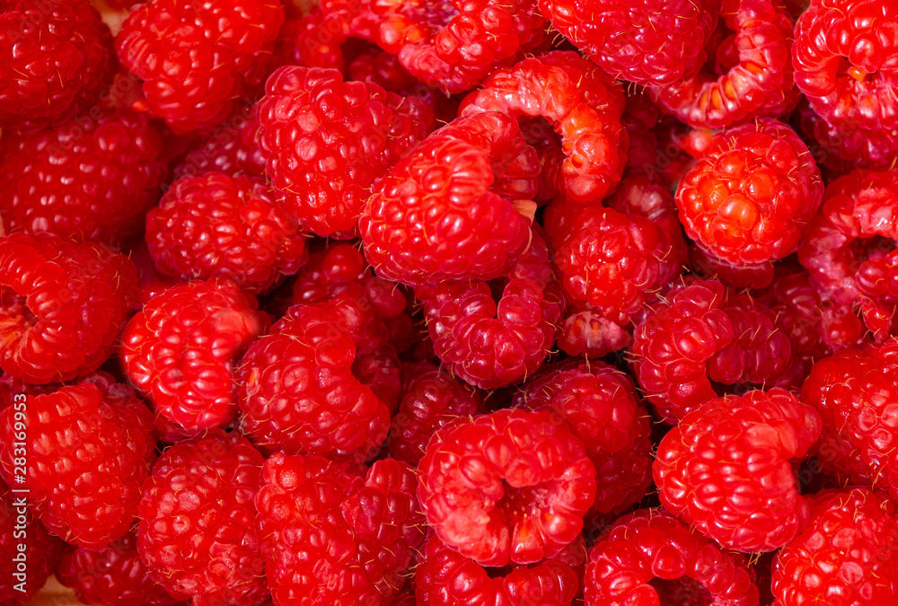 Raspberry berry ripe and red. Texture, background or pattern. Summer and Vitamins Raspberry berry ripe and red. Texture, background or pattern. Summer and Vitamins