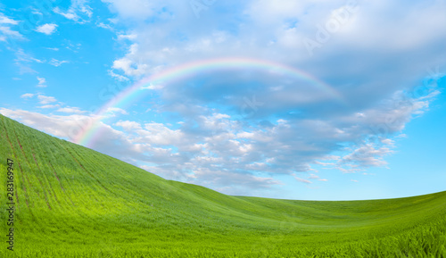 Beautiful landscape with green grass field in the background amazing rainbow