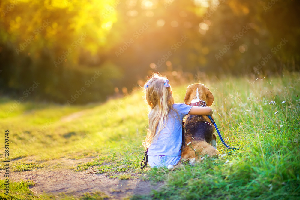 little girl hugs a beagle puppy, sitting on the grass in the park and watching the sunset, best friend