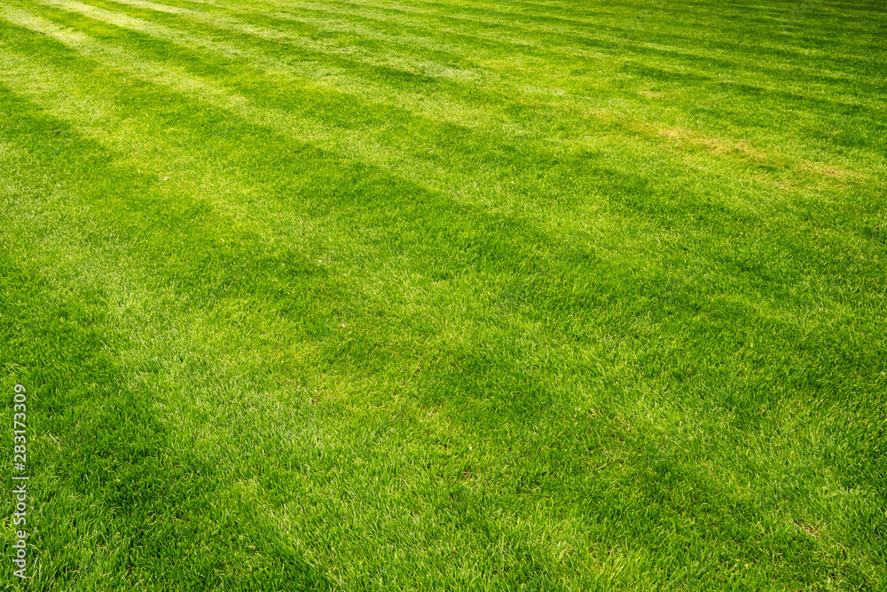 Beautiful fresh green lawn field background Beautiful fresh green lawn field background