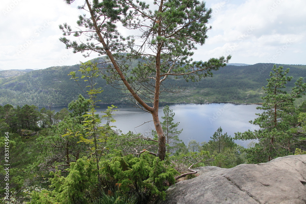 salita sul preikestolen (norvegia) salita sul preikestolen (norvegia)